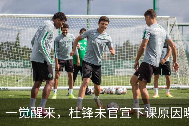 一觉醒来，杜锋未官宣下课原因曝光！徐杰确定留队，陈家政好消息